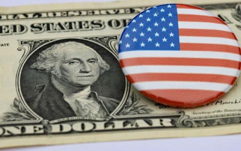 Dollar bill with American flag button